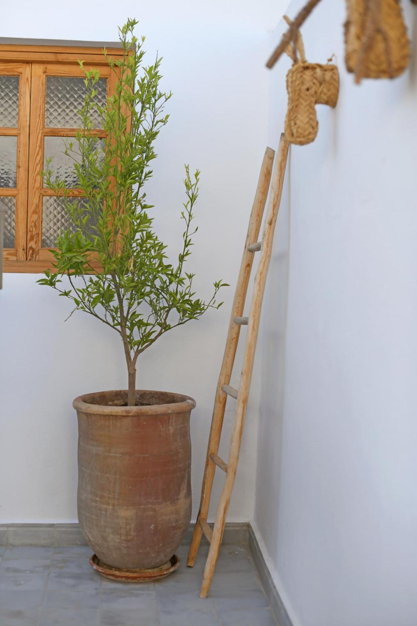 Riad Larbi Khalis Marrakesh Esterno foto